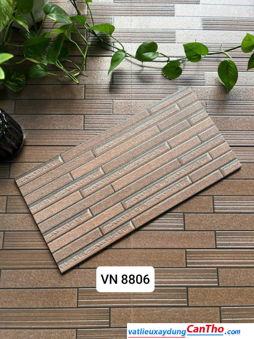 Việt Nhật VN 8806